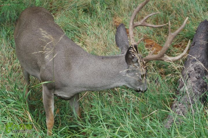 房车之旅：优胜美地山谷一日游2014-09-29 07:30:14