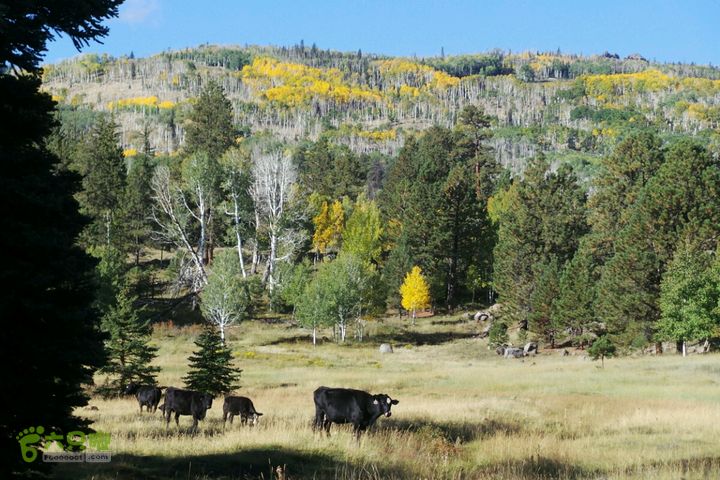 美西犹他州十二号景观公路2014-09-23 00:03:43