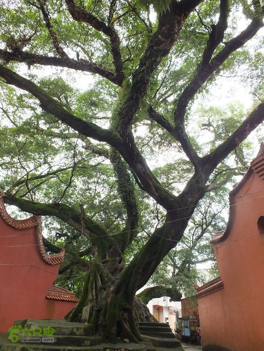 宁德霍童古镇2014_0914_110319