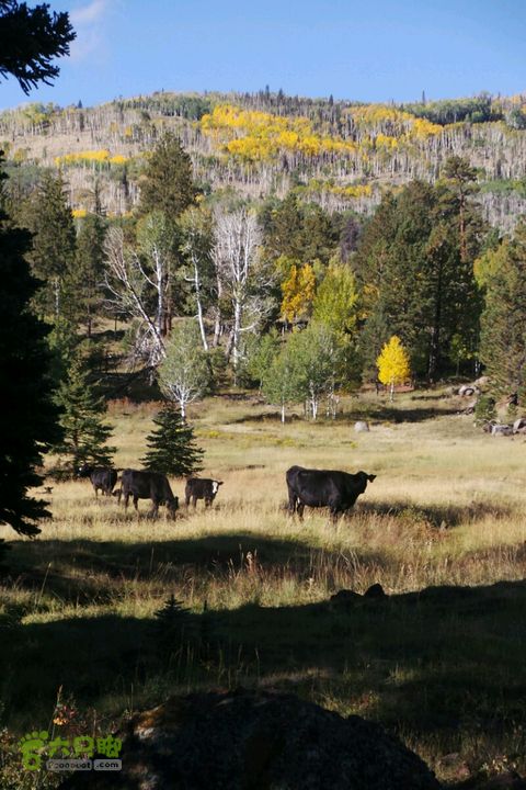 美西犹他州十二号景观公路2014-09-23 00:03:51