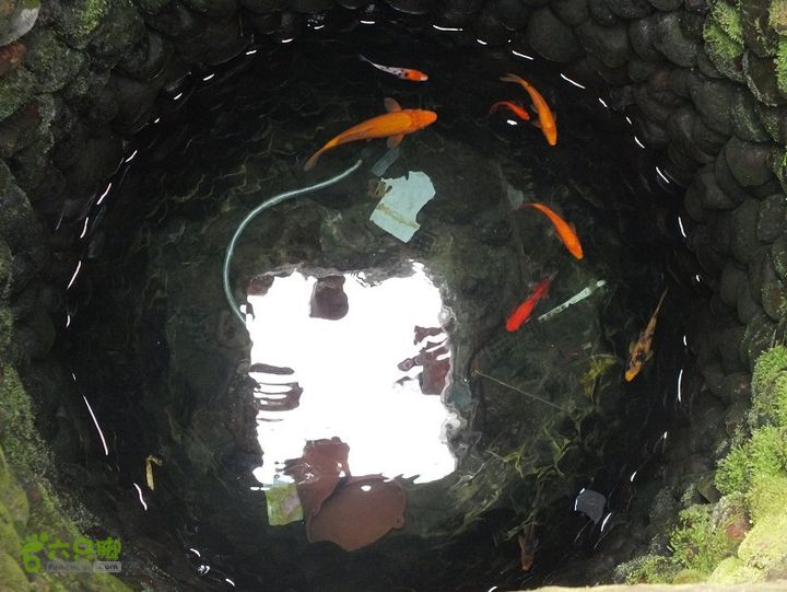 宁德霍童古镇2014_0914_112157