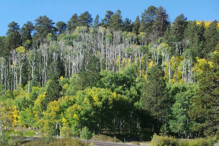 美西犹他州十二号景观公路2014-09-23 00:12:05