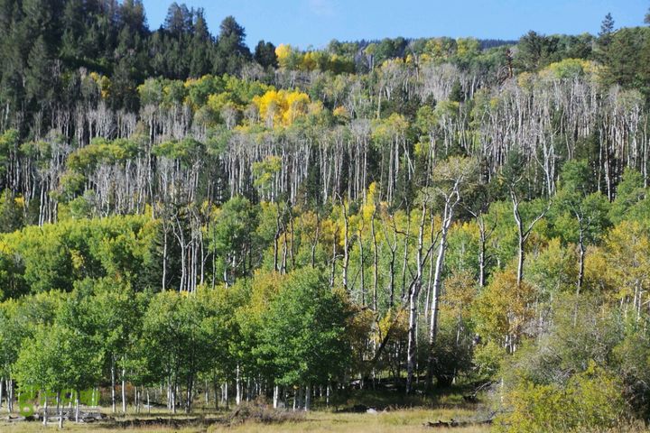 美西犹他州十二号景观公路2014-09-23 00:12:15