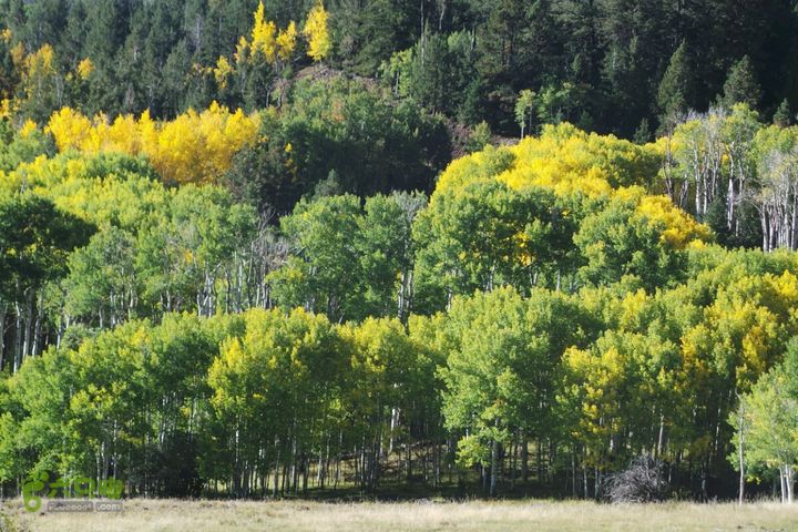 美西犹他州十二号景观公路2014-09-23 00:12:25