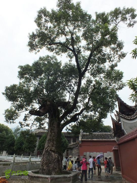 宁德霍童古镇2014_0914_114342