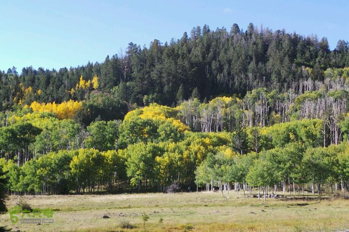 美西犹他州十二号景观公路2014-09-23 00:12:33