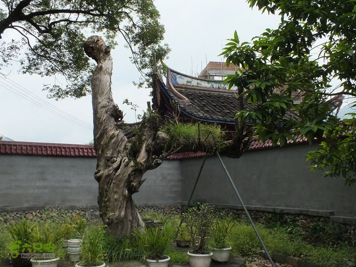 宁德霍童古镇2014_0914_114538