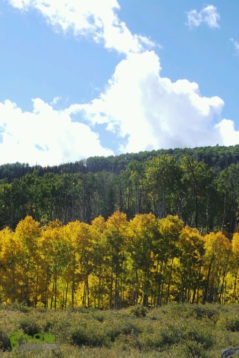 美西犹他州十二号景观公路2014-09-23 00:35:12