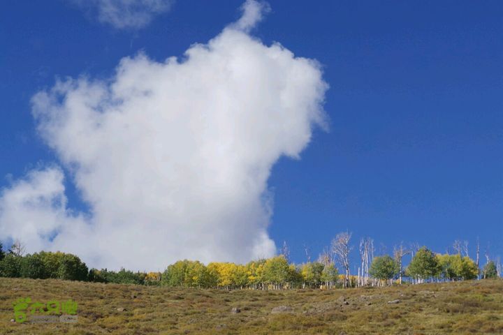 美西犹他州十二号景观公路2014-09-23 00:35:39