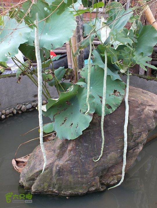 宁德霍童古镇2014_0914_130121