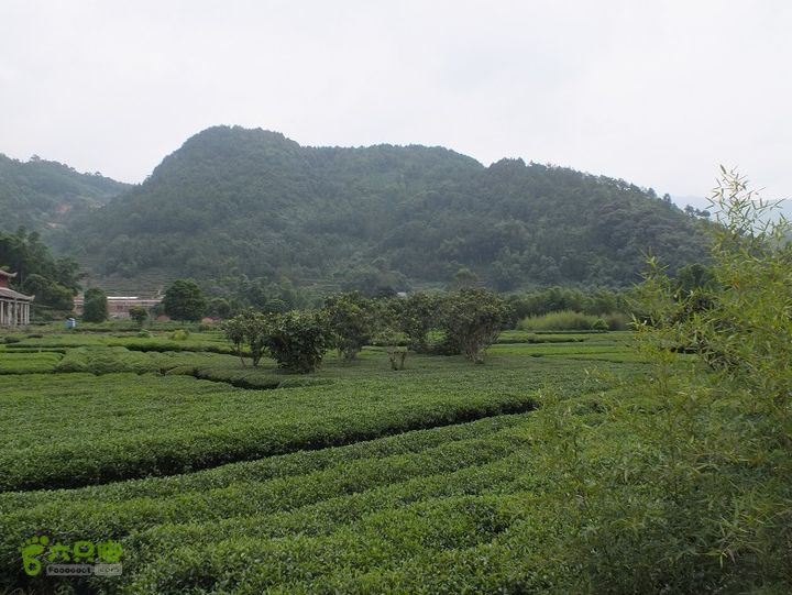 宁德霍童古镇2014_0914_131345