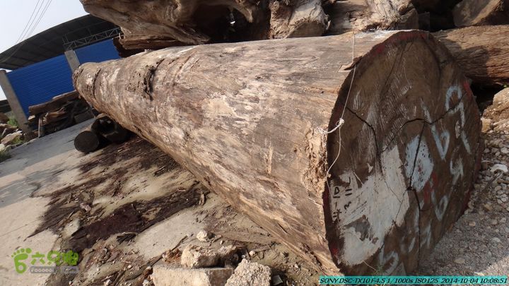 桂海铁路走大圩20141004DSC02509