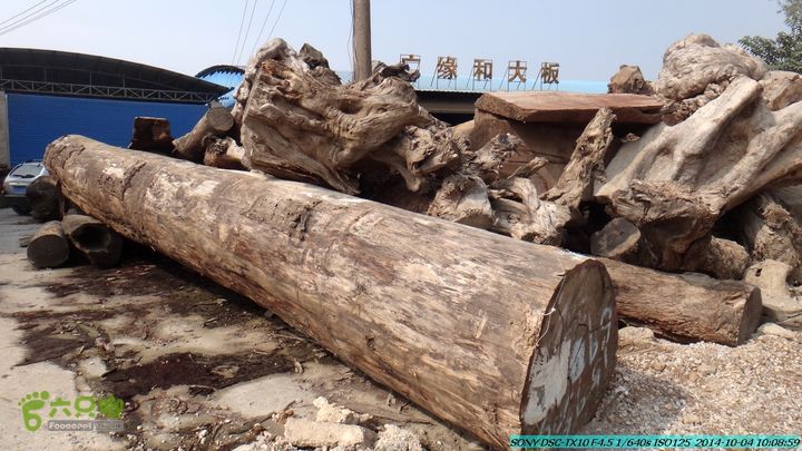 桂海铁路走大圩20141004DSC02510