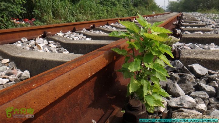 桂海铁路走大圩20141004DSC02522