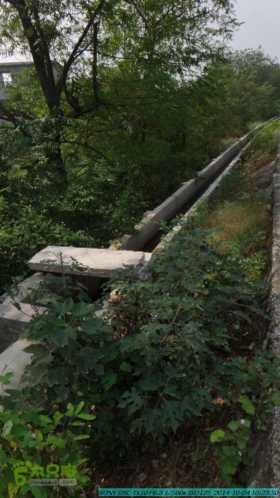 桂海铁路走大圩20141004DSC02526