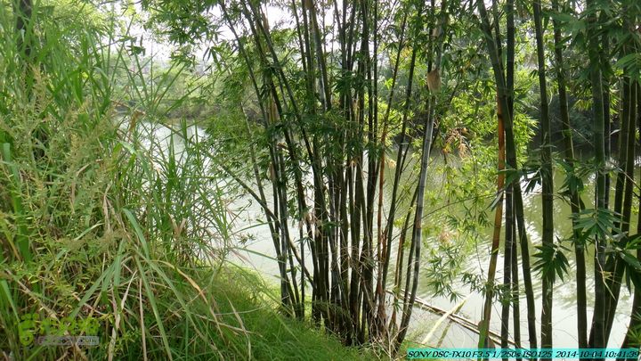 桂海铁路走大圩20141004DSC02553