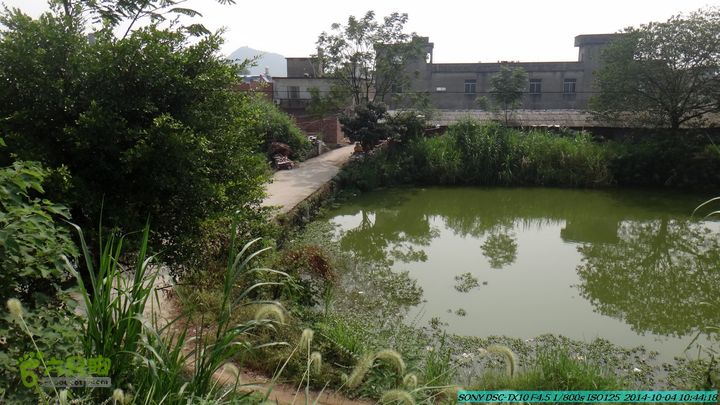 桂海铁路走大圩20141004DSC02555