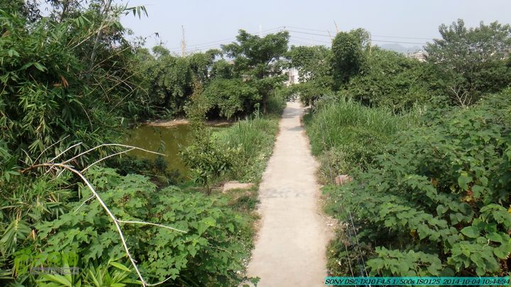 桂海铁路走大圩20141004DSC02556