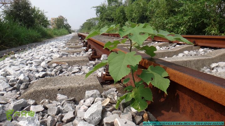 桂海铁路走大圩20141004DSC02571