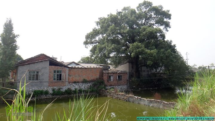 桂海铁路走大圩20141004DSC02574