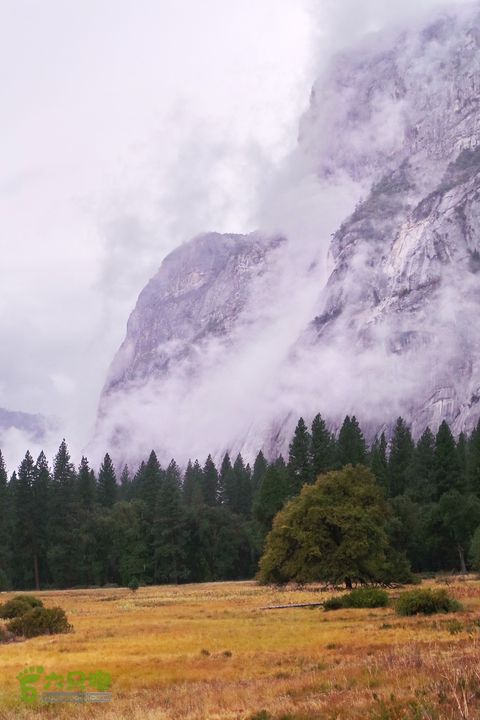 房车之旅：优胜美地山谷一日游20140929_075015
