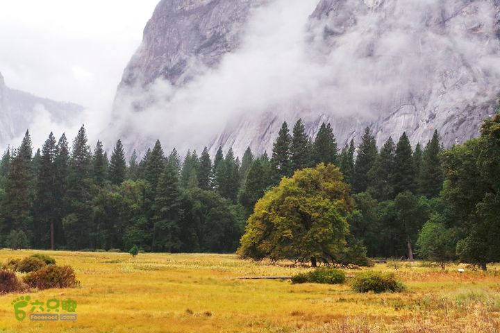房车之旅：优胜美地山谷一日游20140929_075057