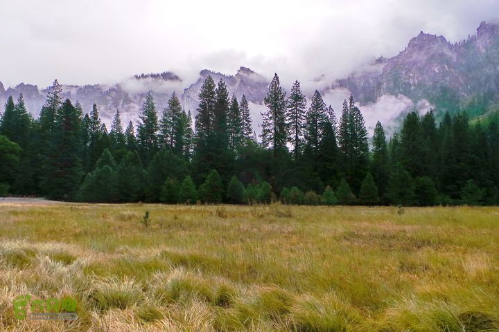 房车之旅：优胜美地山谷一日游20140929_090638