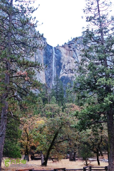 房车之旅：优胜美地山谷一日游20140929_093114