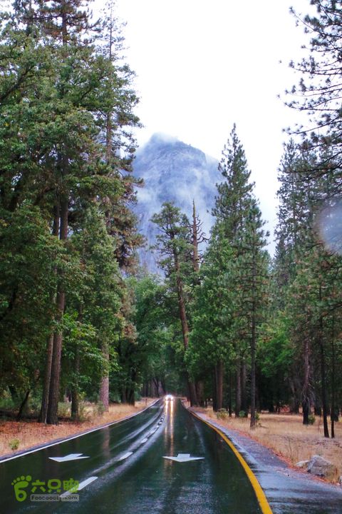 房车之旅：优胜美地山谷一日游20140929_093724