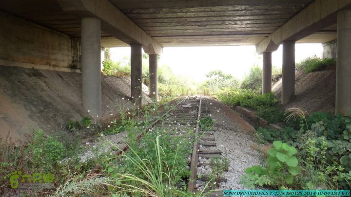 桂海铁路走大圩20141004DSC02641