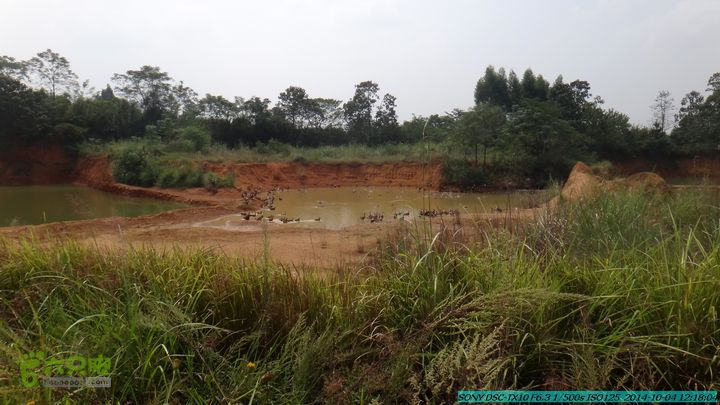 桂海铁路走大圩20141004DSC02645