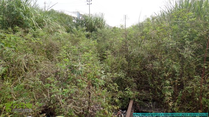 桂海铁路走大圩20141004DSC02649