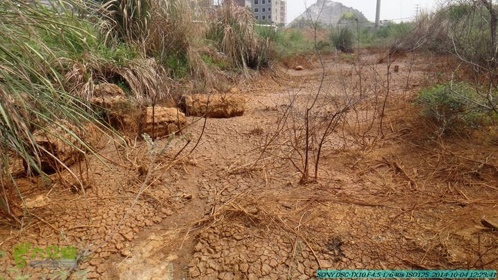 桂海铁路走大圩20141004DSC02651