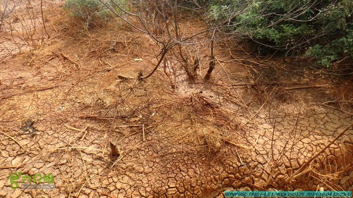 桂海铁路走大圩20141004DSC02652