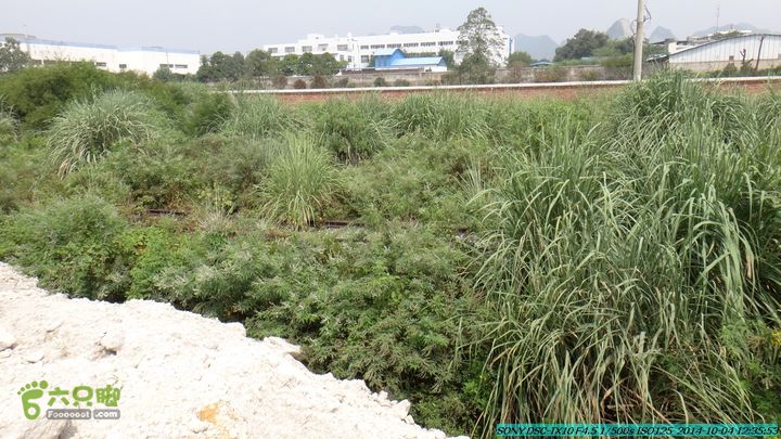 桂海铁路走大圩20141004DSC02654