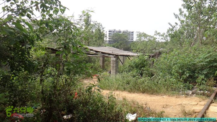 桂海铁路走大圩20141004DSC02662