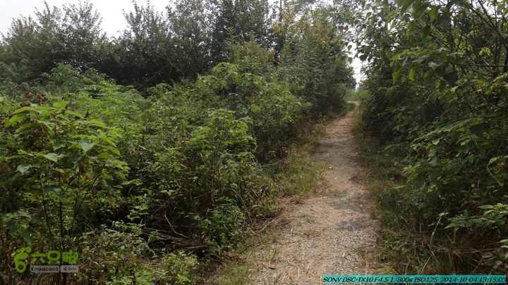 桂海铁路走大圩20141004DSC02667