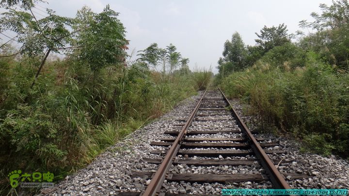 桂海铁路走大圩20141004DSC02668