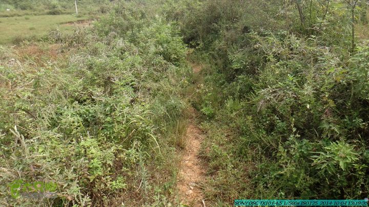 桂海铁路走大圩20141004DSC02671