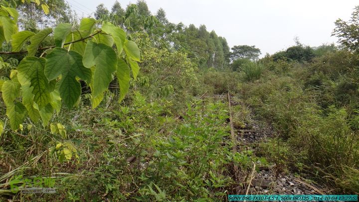 桂海铁路走大圩20141004DSC02674