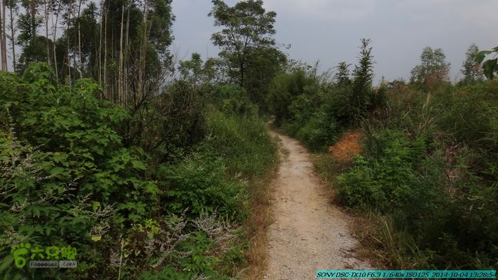 桂海铁路走大圩20141004DSC02675