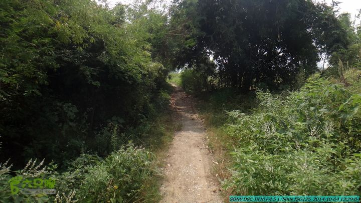 桂海铁路走大圩20141004DSC02676