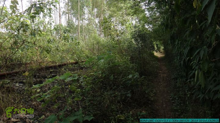 桂海铁路走大圩20141004DSC02677