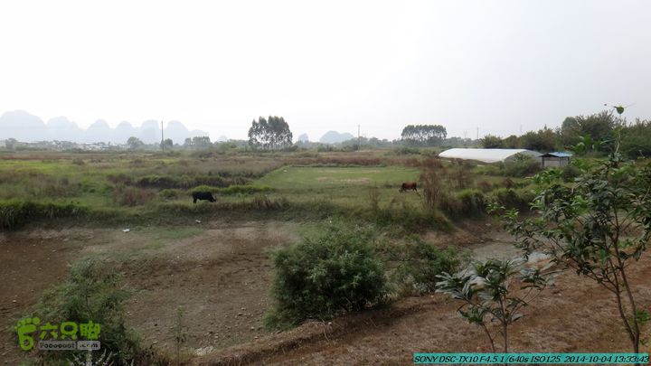 桂海铁路走大圩20141004DSC02681