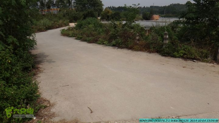 桂海铁路走大圩20141004DSC02682