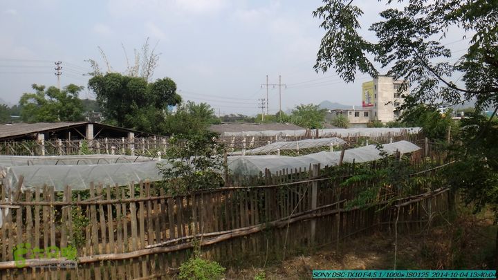 桂海铁路走大圩20141004DSC02687