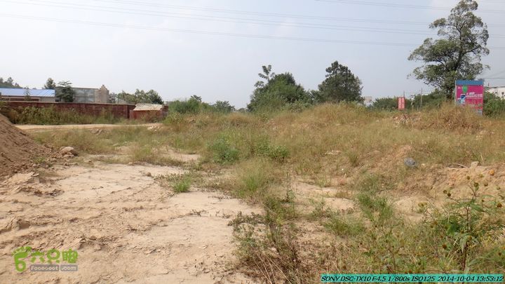 桂海铁路走大圩20141004DSC02694