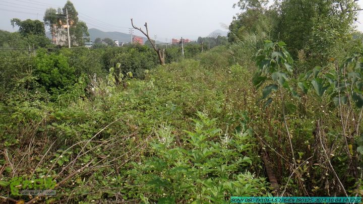 桂海铁路走大圩20141004DSC02701