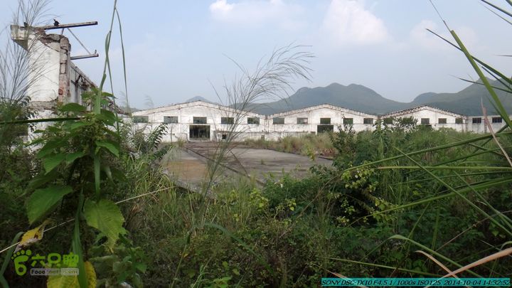 桂海铁路走大圩20141004DSC02707