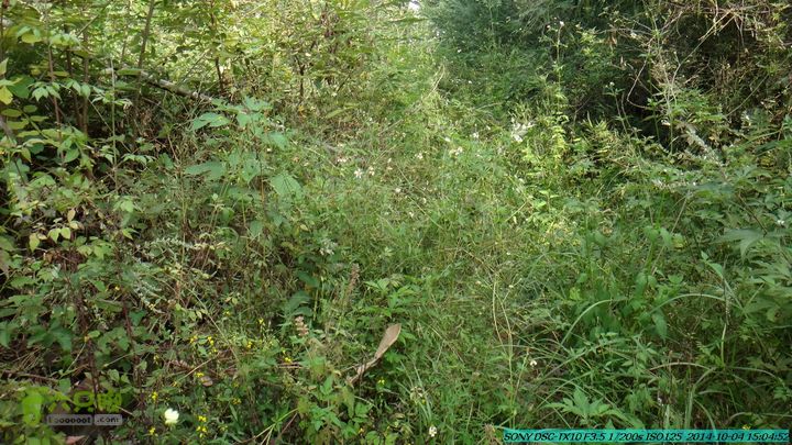 桂海铁路走大圩20141004DSC02717